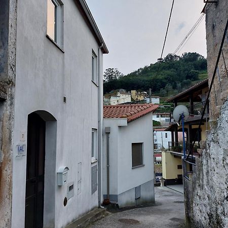 Willa Casa Vale Do Rio Penacova Zewnętrze zdjęcie